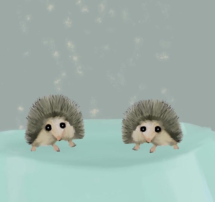 The Hedgehog’s Dilemma
